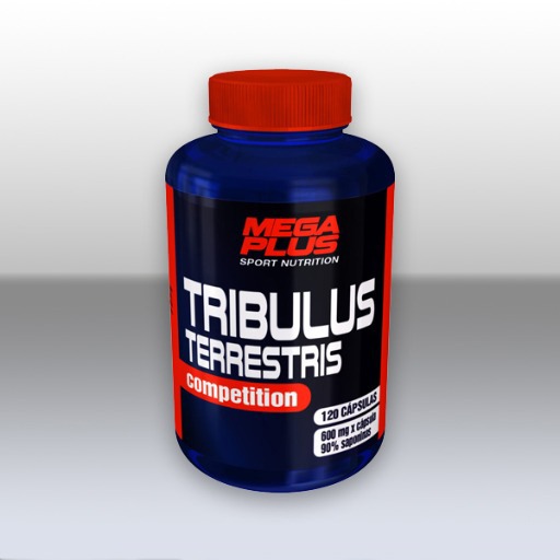 Nutrición sport | Recuperación Muscular